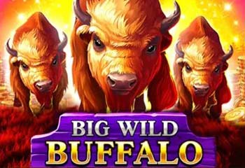 Big Wild Buffalo